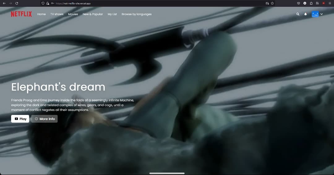 Not-Netflix interface